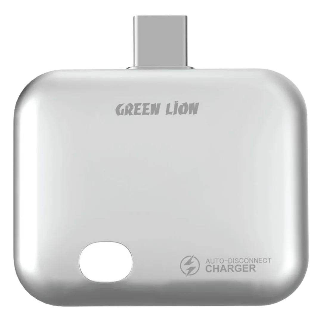 Green Lion Auto-Disconnect Smart Charger - Gray
