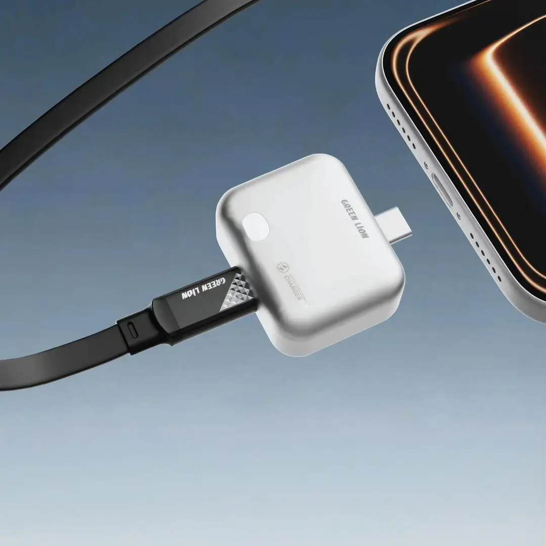 Green Lion Auto-Disconnect Smart Charger - Gray - Image 2