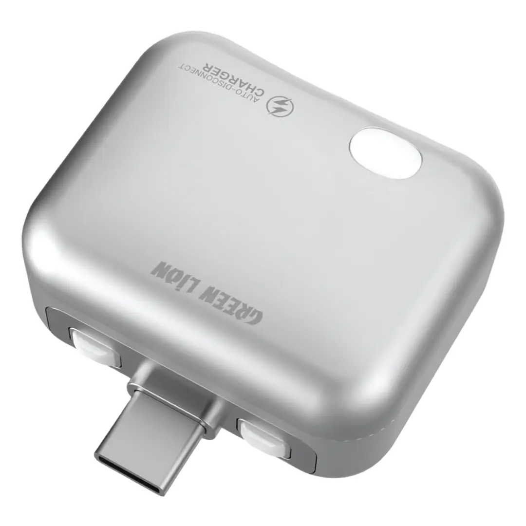 Green Lion Auto-Disconnect Smart Charger - Gray - Image 4