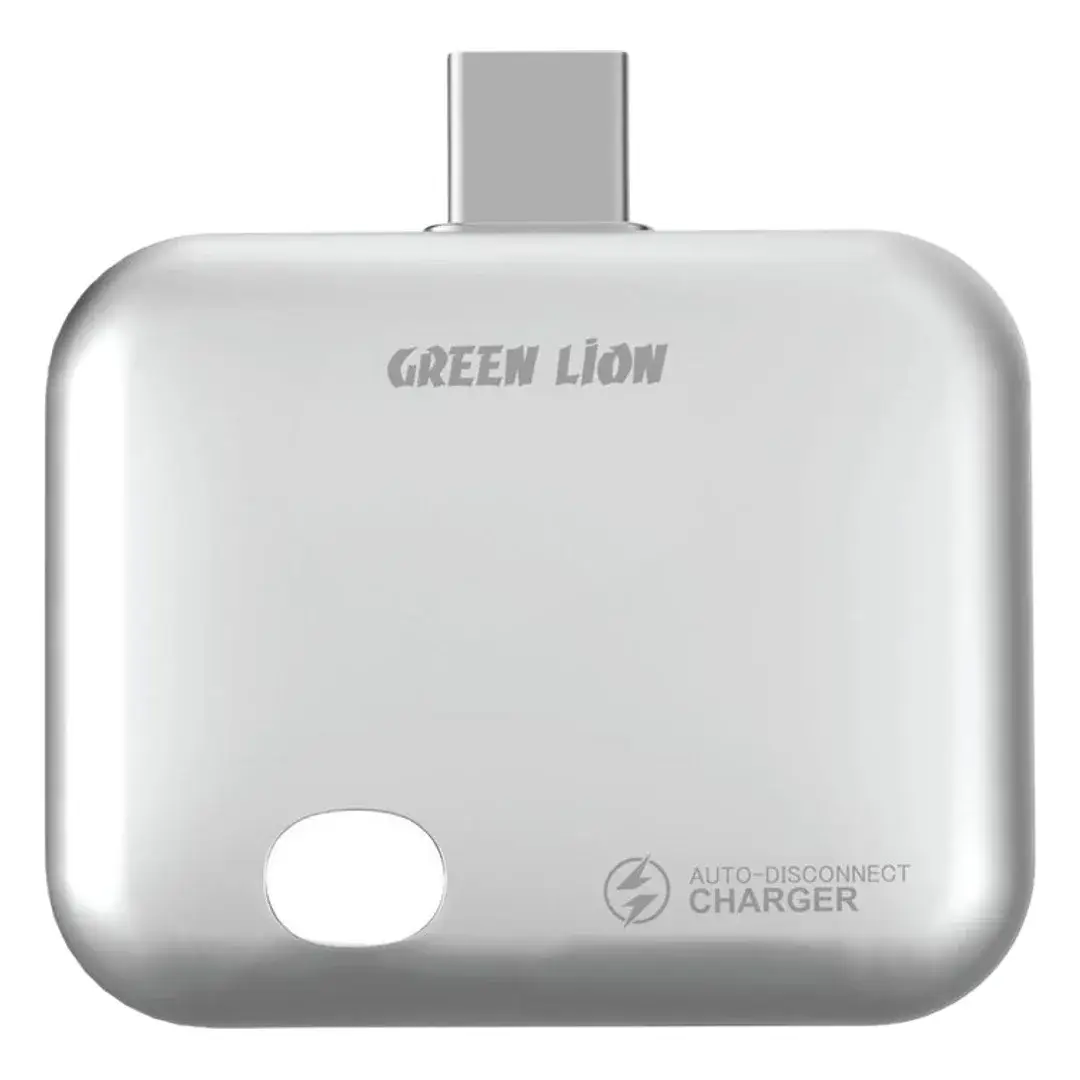 Green Lion Auto-Disconnect Smart Charger - Gray